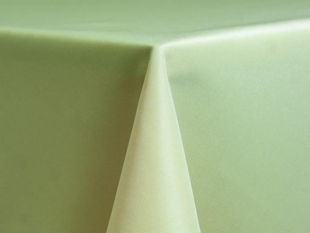 Rental store for NAPKIN, CELADON in Fort Bragg CA